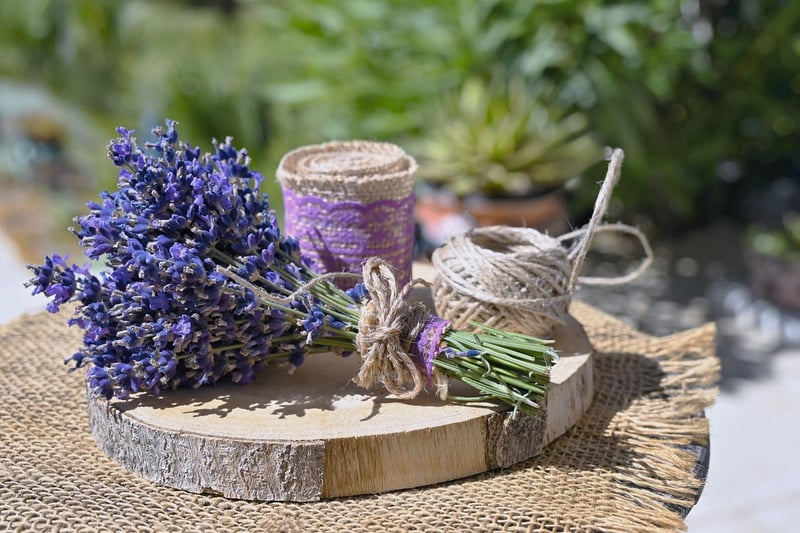 Eco-Friendly Projects